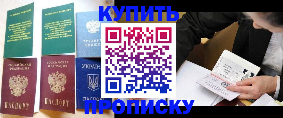 прописка для школы в Курске